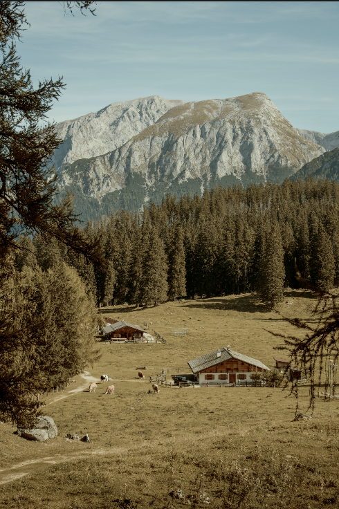 Montagna / sentieri
