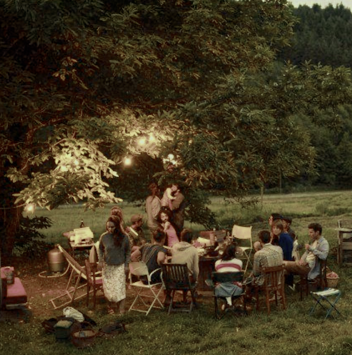 Cena condivisa sotto un grande albero